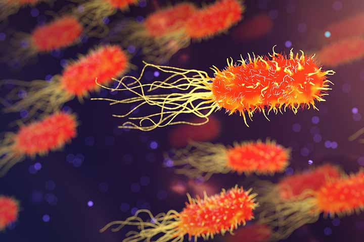 يؤدي تكاثر الجراثيم في الجرح إلى حدوث الالتهاب